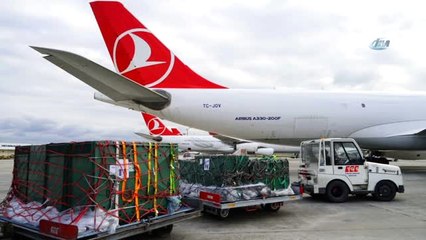 Turkish Cargo Çin'e Penguen ve Aslan Taşıdı