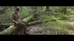 Carving Chopsticks in the Forest • Bushcraft Skills