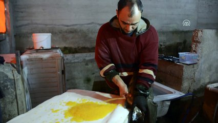 Denizi olmayan kent yıllık 4,7 bin ton balık üretiyor - GÜMÜŞHANE