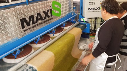 otomatik halı yıkama makinası maxis