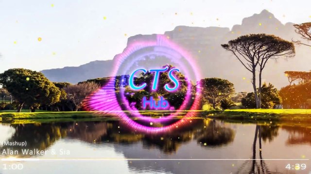 Sia & Alan Walker - Cheap Thrills, Airplanes, Alive, Faded (feat. Hayley Williams, B.o.B, Sean Paul)