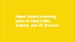 Hapus History Browsing-mu di Opera Mini, Dolphin & UC Browser