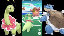Pokémon GO Gym Battles Ampharos Tyranitar Flaaffy Meganium Feraligatr Persian Ursaring & more