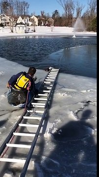 Sauvetage d'un chien dans un étang gelé