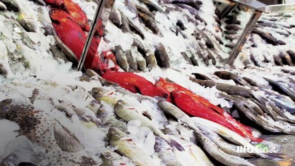 5 علامات تكشف لك الفسيخ الفاسد