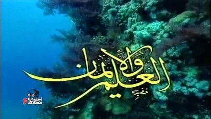 على طريقة دكتور مصطفى محمود.. أبو حفيظة يقدم أنواع الأزواج في مصر!