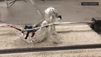 This creepy robot baby