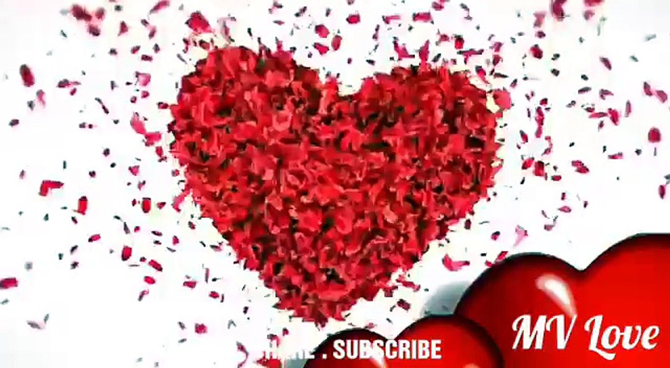 whatsapp status video