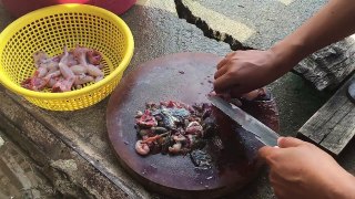 Frog curry food in my village | Frog food in cambodia