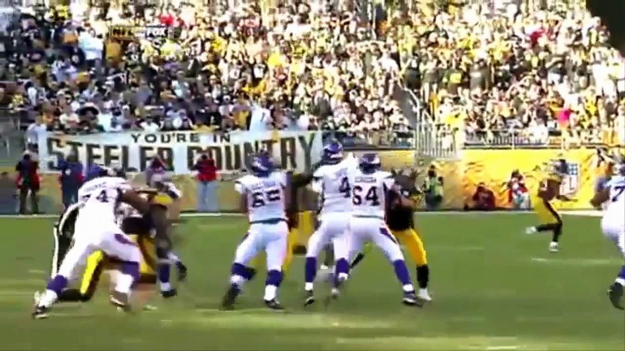 （2）Adrian Peterson Top 5 Runs阿德里安·彼得森排名前5的运行