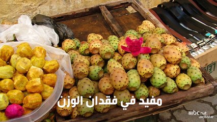 التين الشوكي