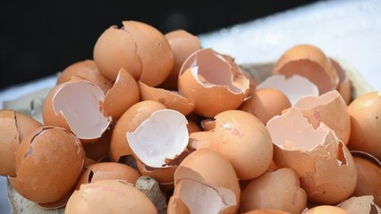 Woman calls 999 over cracked eggs
