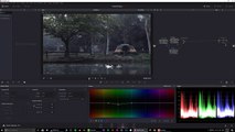 Color Grading Dramatic Forrest look in Davinci Resolve 12.5