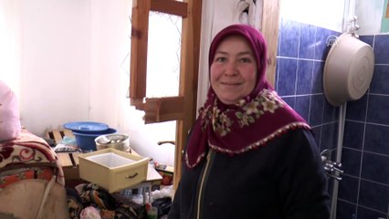 Aç kalan ayılar, yayla evlerine zarar verdi - ARTVİN