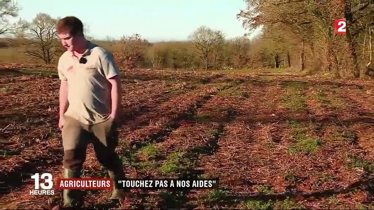 Sud-ouest : les agriculteurs en colère après la suppression de leurs subventions