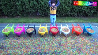 Learn Numbers and Colors with Wheelbarrows for Children and Toddlers - Colours with Orbeez for Kids