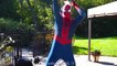 Frozen Elsa PRANK Spiderman- POOL FUN - Superheroes in Real Life and Learn Colors | Superheroes | Spiderman | Superman | Frozen Elsa | Joker