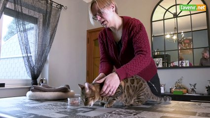 L'Avenir - Flore est masseuse pour chats