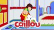 Funny Animated cartoons Kids | NEW | Caillous Favourite Shirt | WATCH ONLINE | Cartoon for Childr