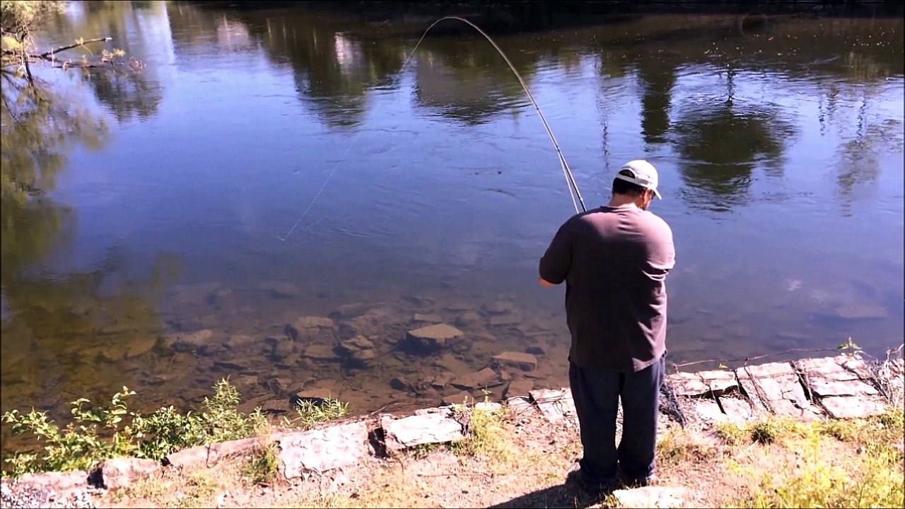 Vidéo pêche au saumon 2