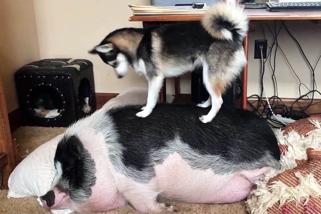 Best friends