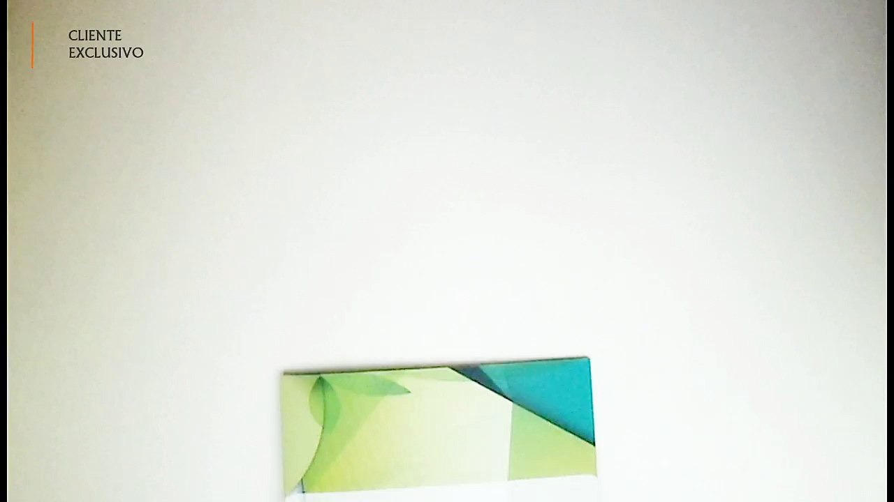 Folder with Insert, A BUSINESS BROCHURE IN THE FORM OF A DIPTICUS