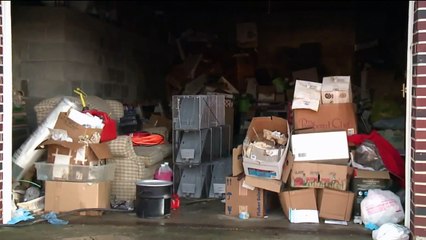 'The Worst One I've Seen': 15 Dead Cats Found in Pennsylvania Home