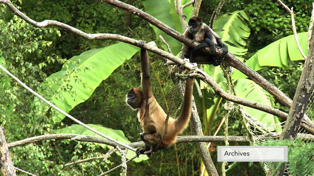 JT breton du mercredi 24 janvier 2018 : les prisons toujours mobilisées