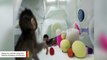 Monkey Clones Created In China