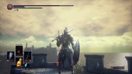 All 33 Gestures in Dark Souls 3