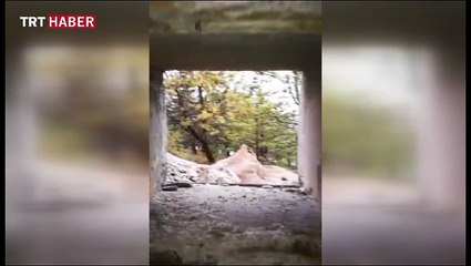 Mehmetçik PYD/YPG'nin tünellerini ele geçirildi