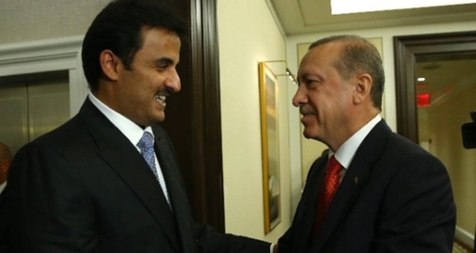 Cumhurbaşkanı Erdoğan, Katar Emiri ile Zeytin Dalı Harekatını Görüştü