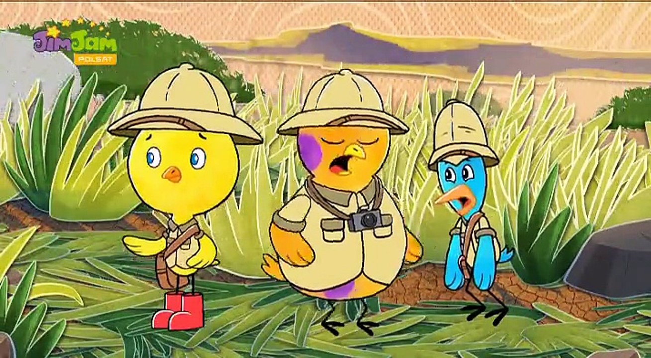 Chirp - Ćwierkające Historie - Safari