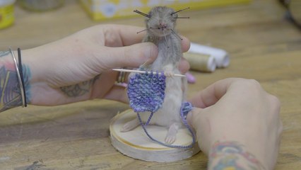 Take This Taxidermy Class In A Tiny Studio In Brooklyn