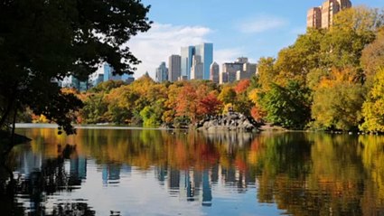 Fall folliage is expected to be extra stunning this year