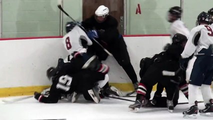 Hockey Mom Runs Out On Ice During Hockey Fight