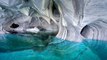 Chile's Marble Caves Might Be The Most Beautiful Natural Wonder