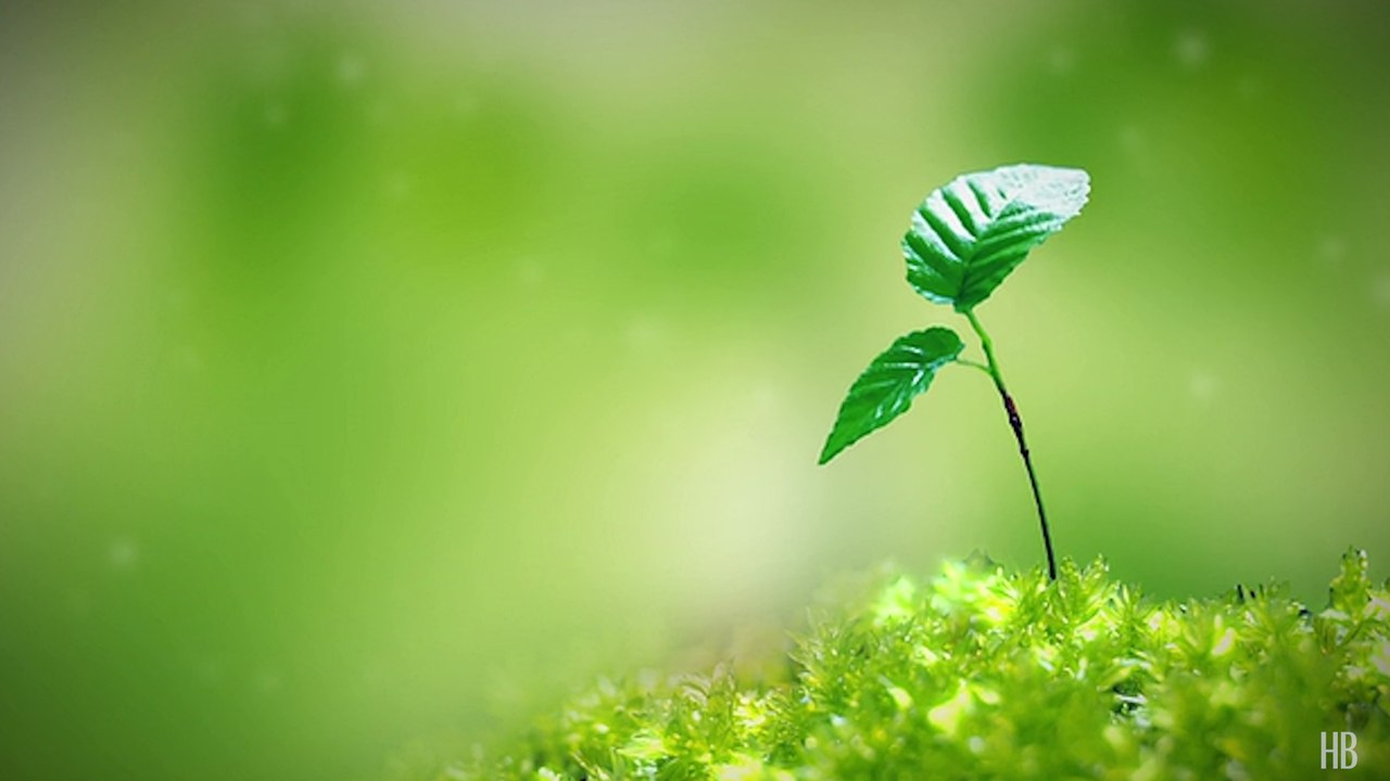 Earth Day