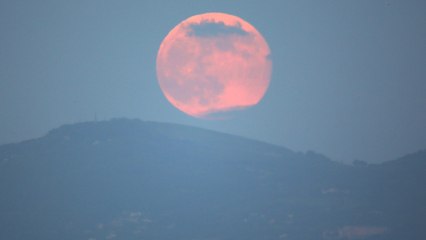 You Don't Want to Miss the "Pink Moon" That Will Light Up the Sky This Week
