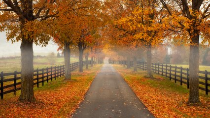 12 Best Bike Trails for Fall