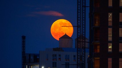 You Won't Want To Miss This Week's 'Strawberry Moon’!