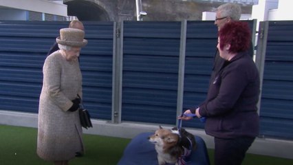 Queen Elizabeth Has Adopted a New Dog