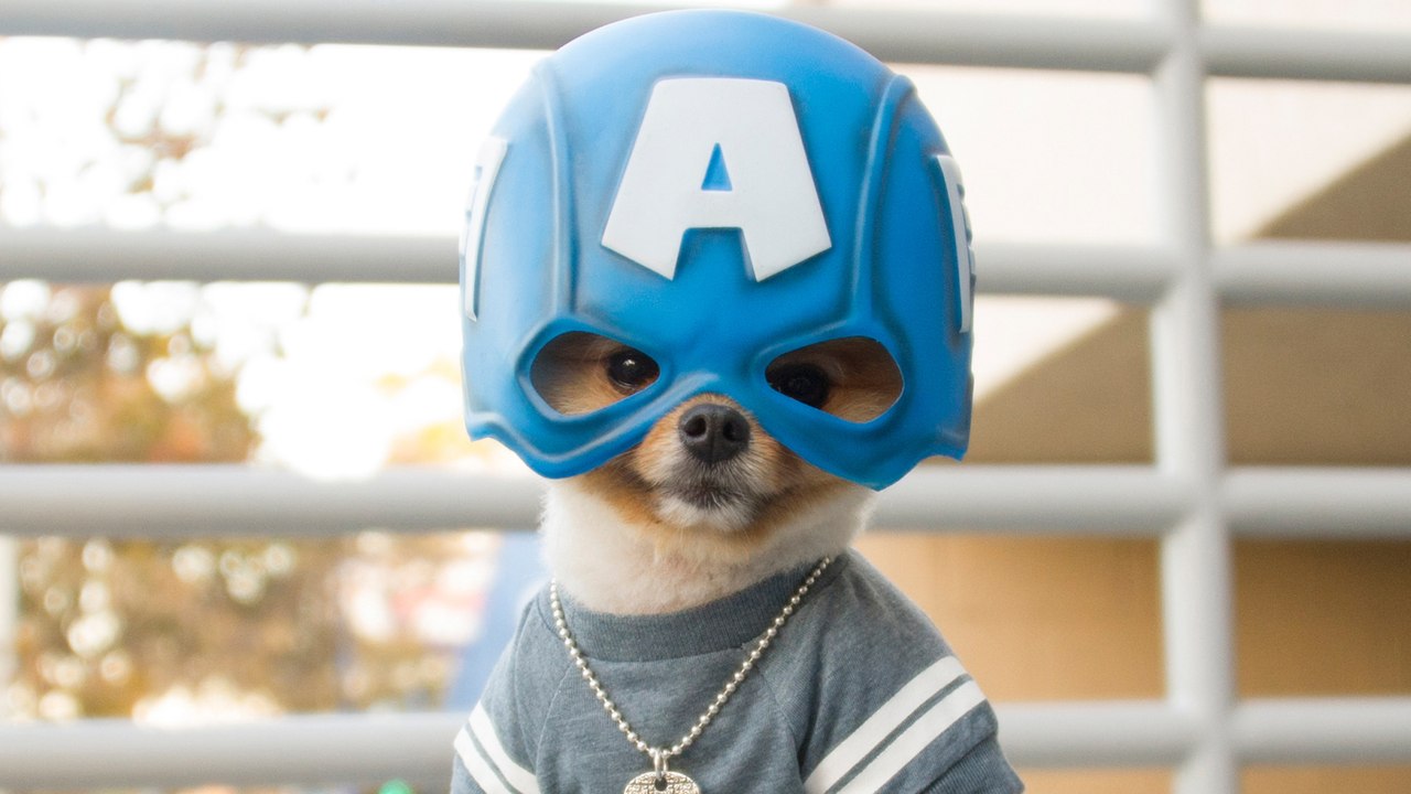 When Jiffpom’s Halloween Game is Better Than Yours