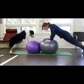 หมาโยคะ