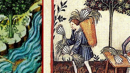 Porque los gatos tienen cara en el arte mediaval (MISTERIO)