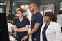 [123movies] Grey's Anatomy Season 14 Episode 10 - American Broadcasting Company HD