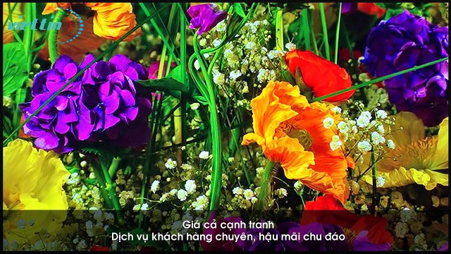 Địa chỉ đáng tin cậy chuyên lắp ráp màn hình Led