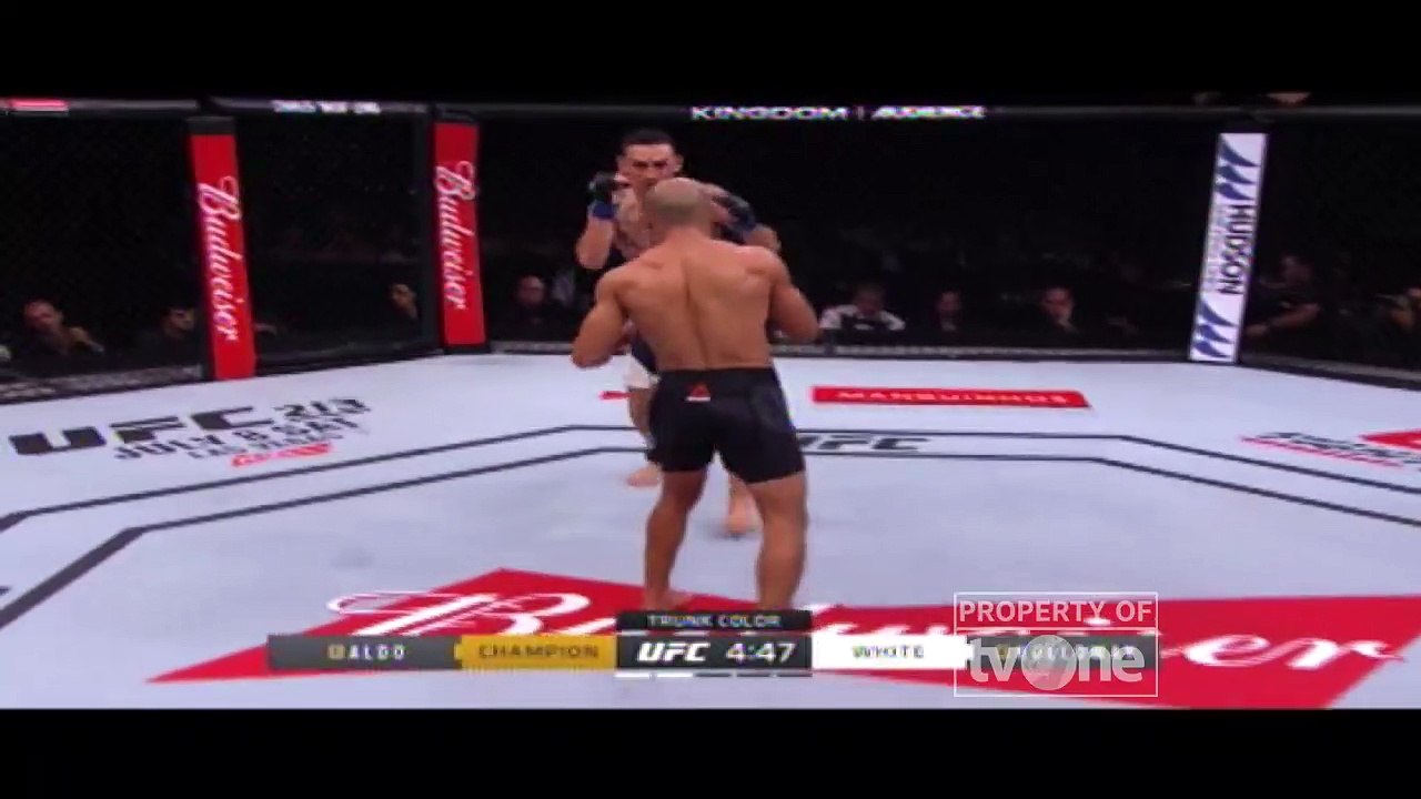 UFC - John McCarthy vs Max Holloway