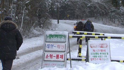 제주, 이틀째 영하권...산간에 폭설 / YTN