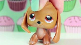 LPS - Reading NICE Comments (Bring the PAWsitivity BACK!)